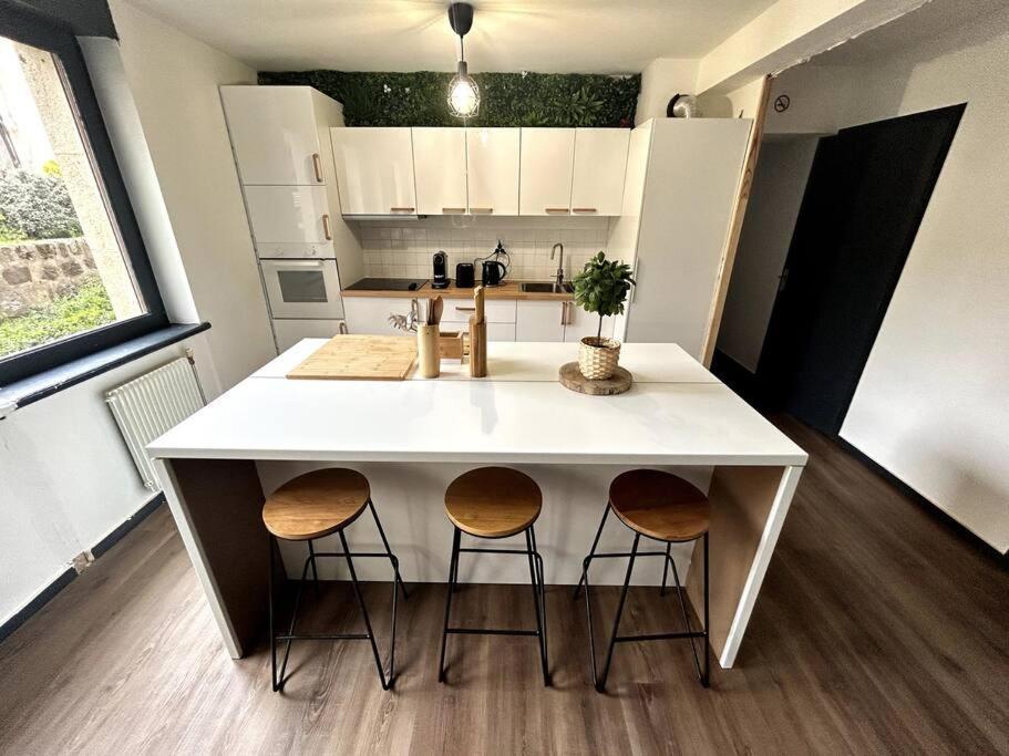 Le Puy En Velay - Appartement Grand Confort Εξωτερικό φωτογραφία